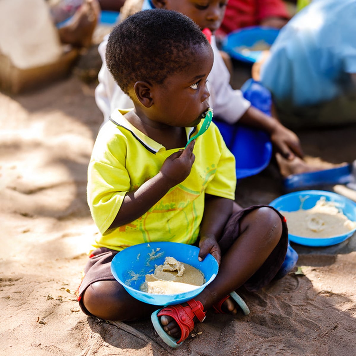 Gemeinsam gegen den Hunger: die VitaMeal Spende