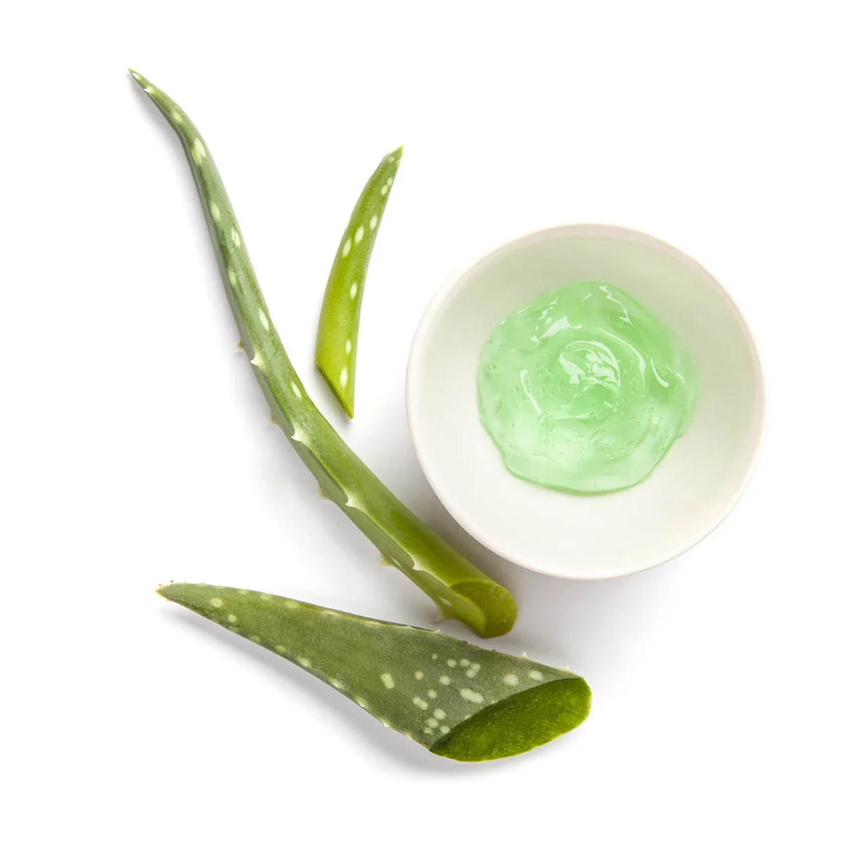 In eine kleine weiße Schale wurde eine Probe des liquiden hellgrünen Enhancer Skin Conditioning Gels gegeben. Daneben liegen ein paar Blätter der Aloe Vera Pflanze.