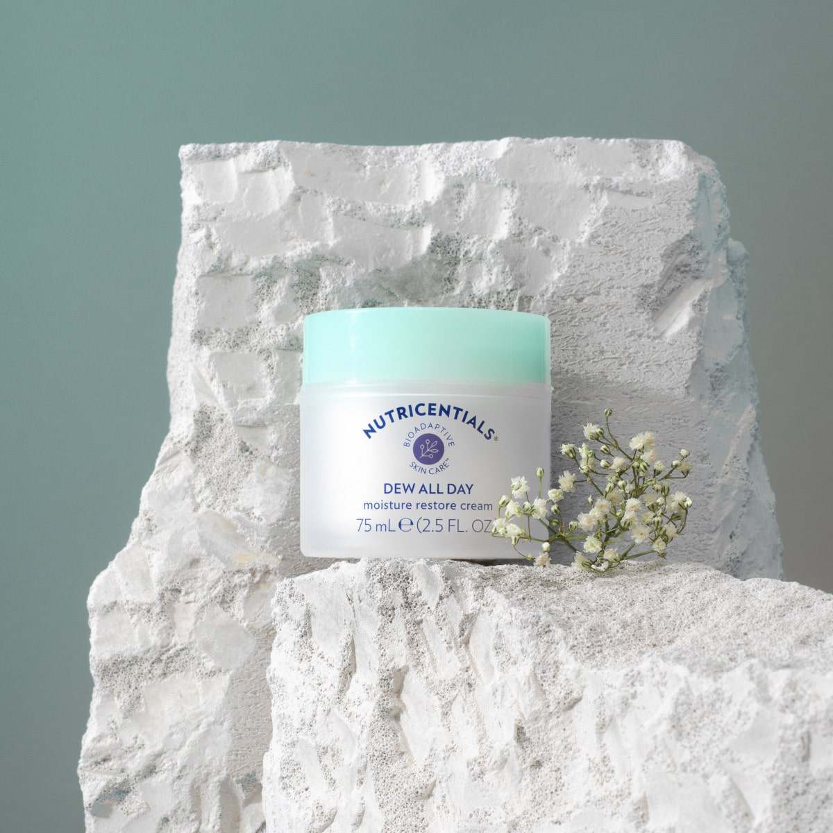 Dew All Day Moisture Restore Cream